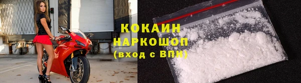 прущие грибы Корсаков