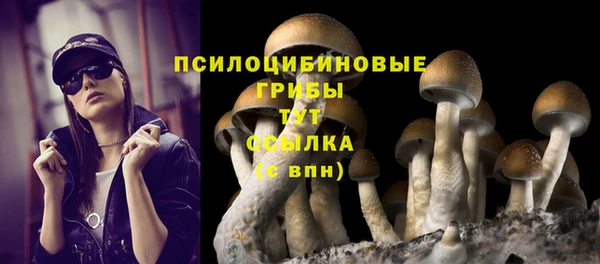 MESCALINE Коряжма