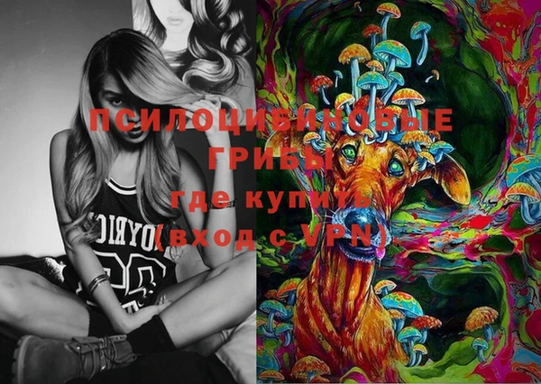 молекула духа Красноперекопск