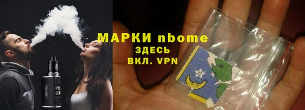 прущие грибы Корсаков