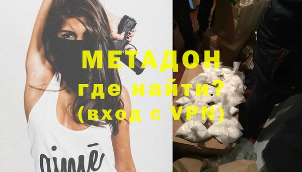 прущие грибы Корсаков