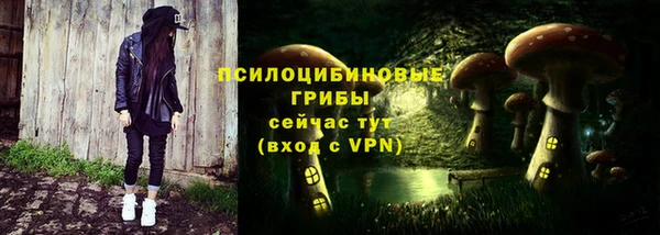 молекула духа Красноперекопск